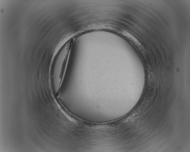 X0000067910894200605041640