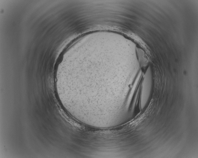 X0000067910896200605041640