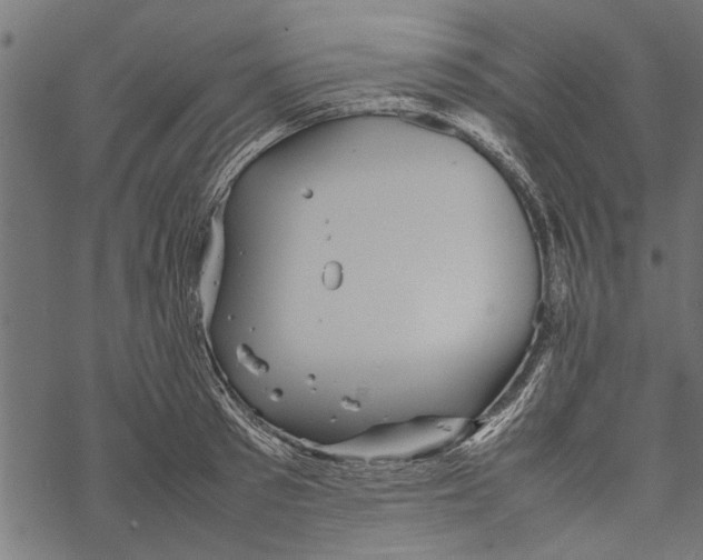 X0000067910897200605041640