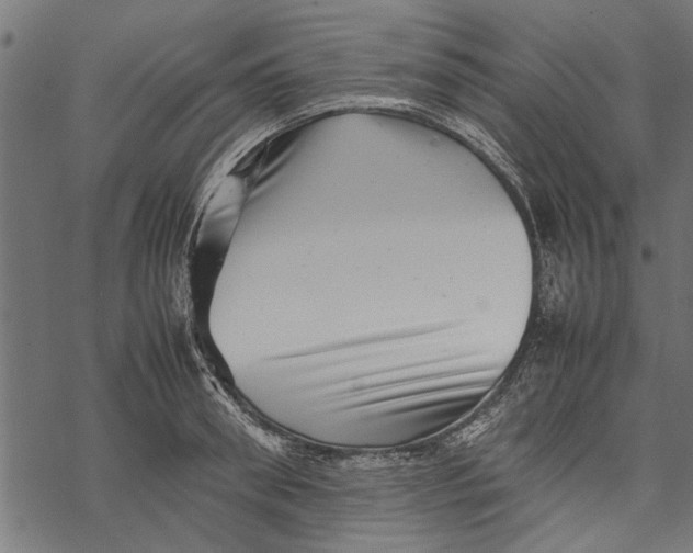 X0000067910898200605041640