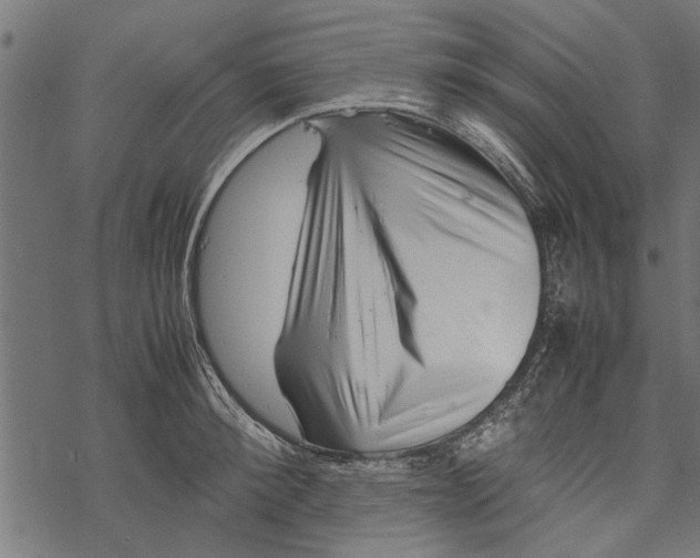 X0000067910900200605041640