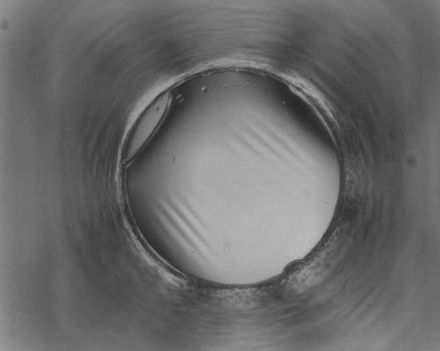 X0000067910902200605041640