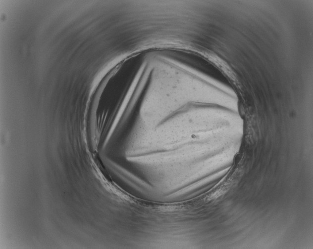 X0000067910904200605041640