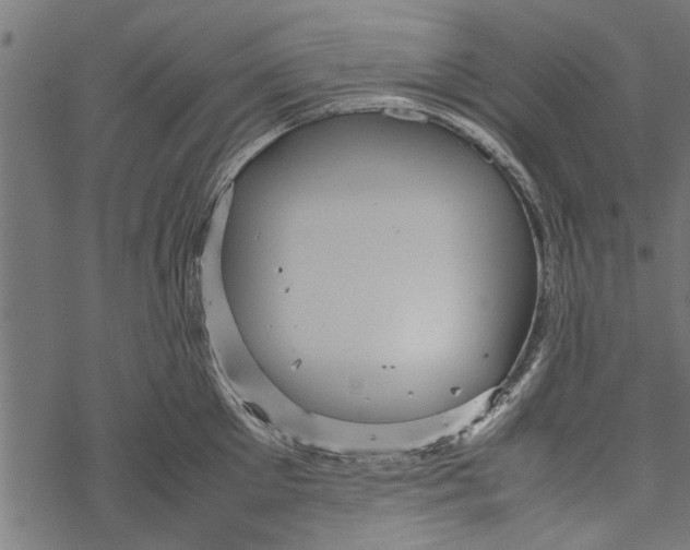 X0000067910905200605041640