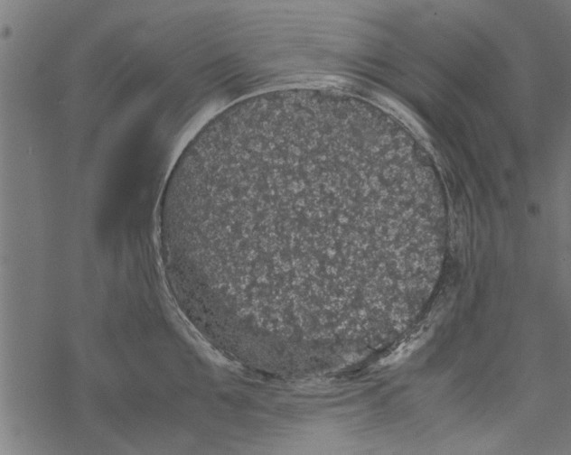 X0000067910907200605041640