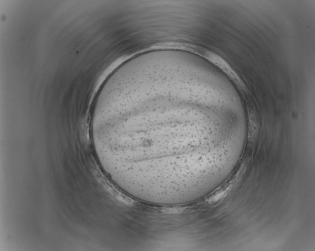 X0000067910908200605041640