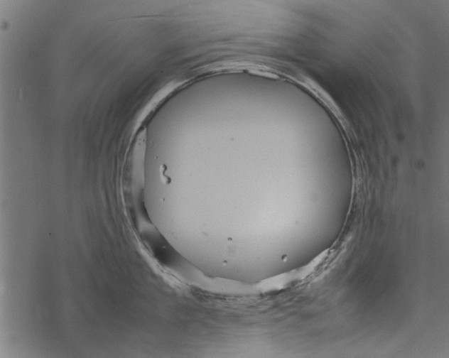 X0000067910909200605041640