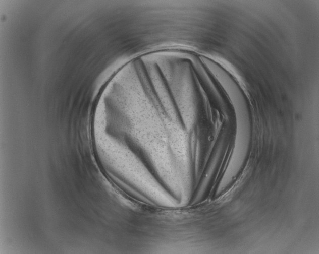 X0000067910910200605041640