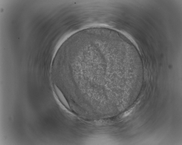 X0000067910911200605041640