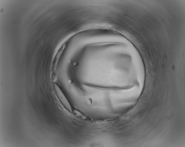 X0000067910912200605041640