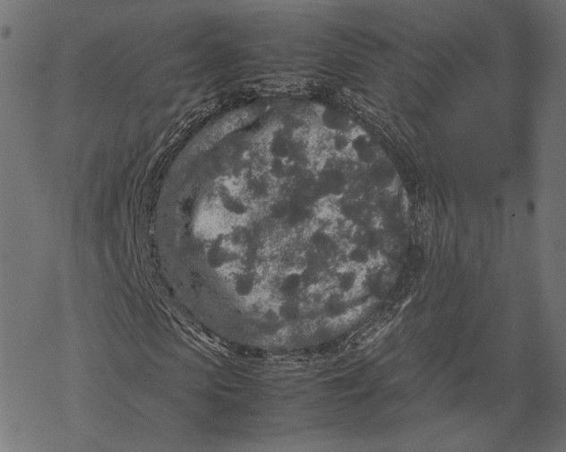 X0000067910913200605041639