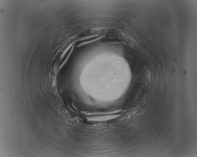 X0000067910914200605041639