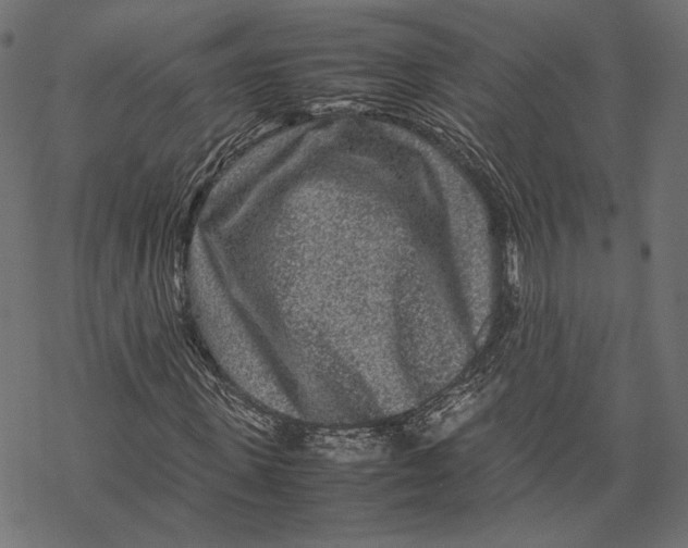 X0000067910915200605041639