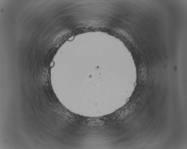 X0000067910918200605041639