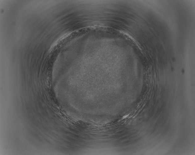 X0000067910919200605041639