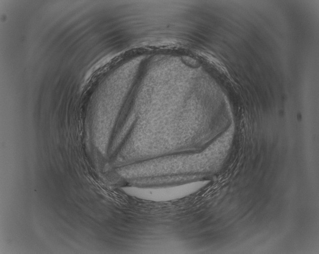 X0000067910920200605041639