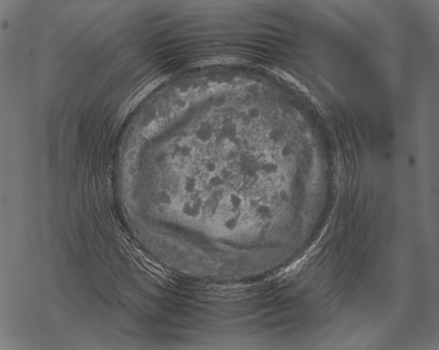 X0000067910921200605041639