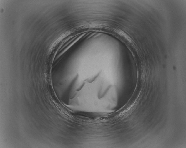 X0000067910922200605041639