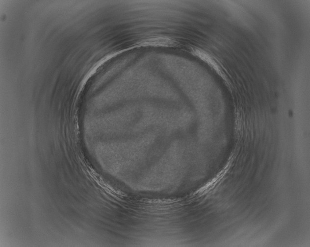 X0000067910923200605041639