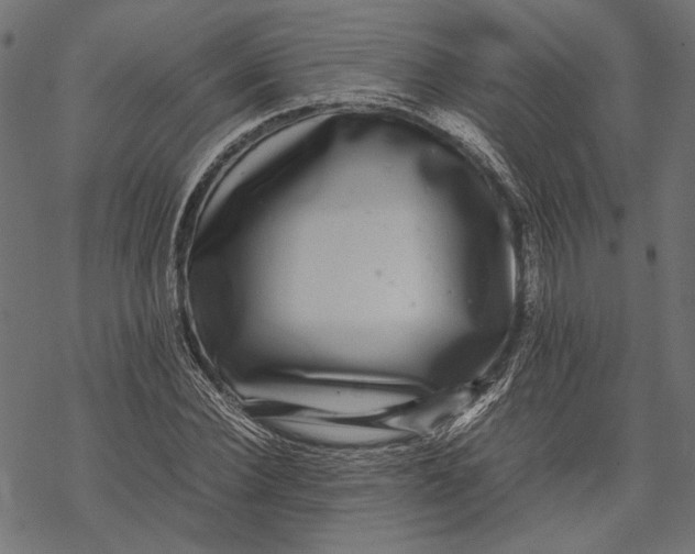 X0000067910924200605041639