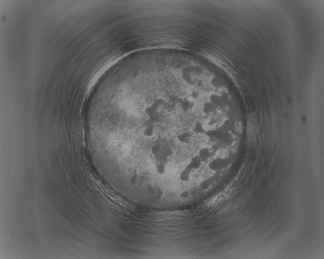 X0000067910925200605041639