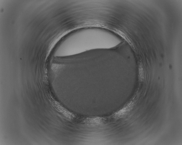 X0000067910926200605041639