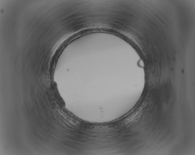 X0000067910927200605041639