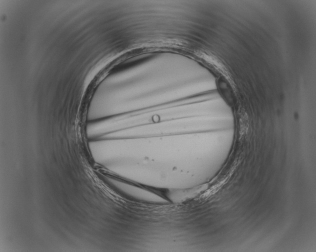 X0000067910928200605041639