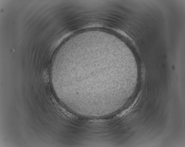 X0000067910929200605041639