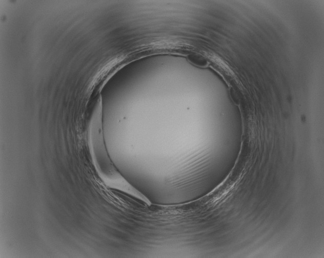 X0000067910930200605041639