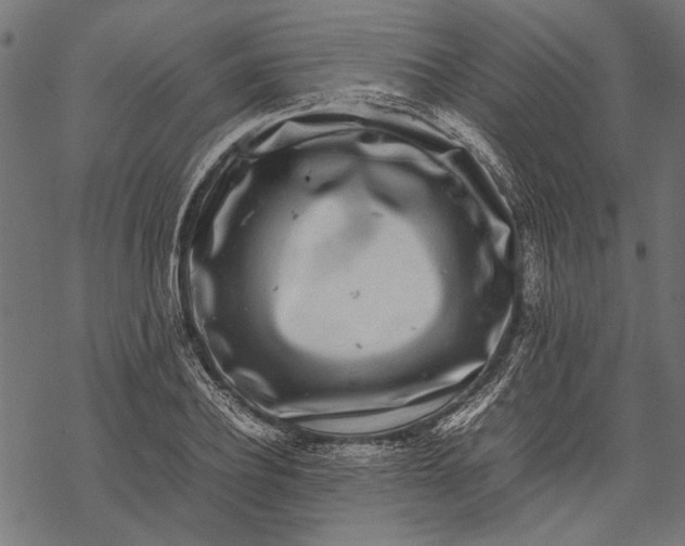 X0000067910932200605041640