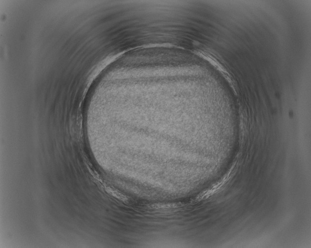 X0000067910933200605041640