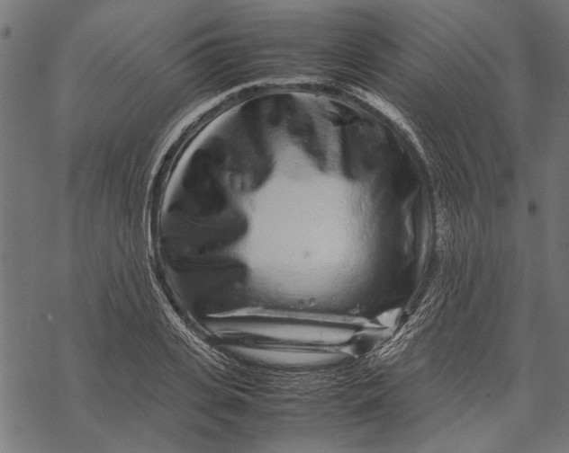 X0000067910935200605041640