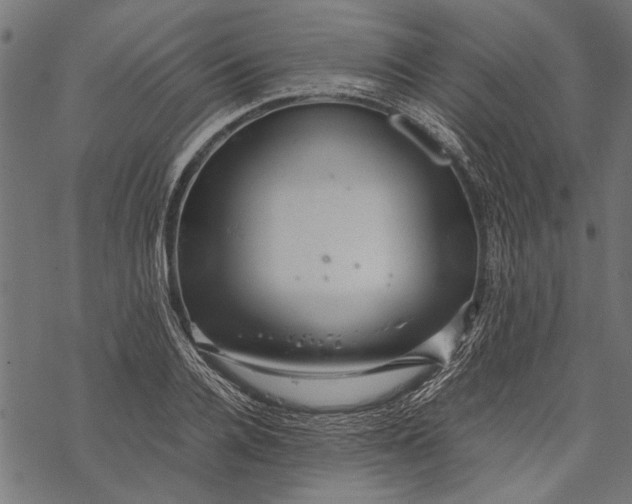 X0000067910936200605041640