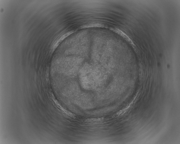 X0000067910937200605041640