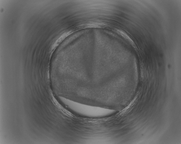 X0000067910938200605041640