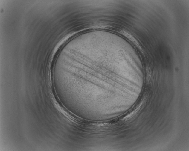 X0000067910939200605041640