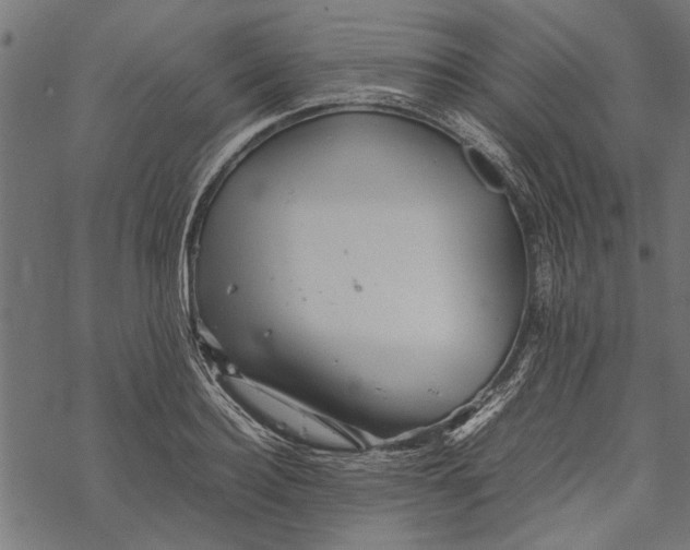 X0000067910940200605041640