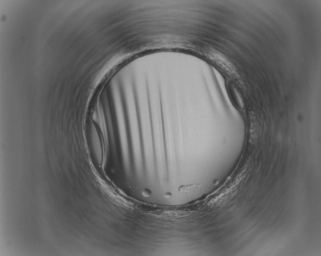 X0000067910942200605041640