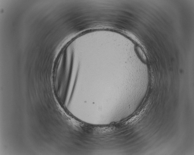 X0000067910943200605041640