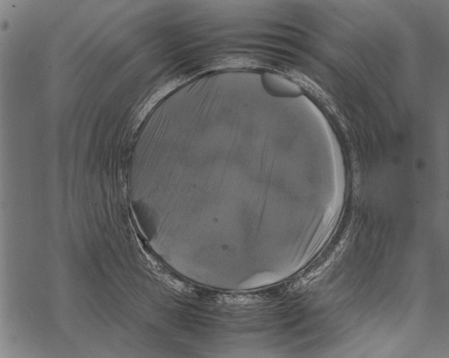 X0000067910945200605041640