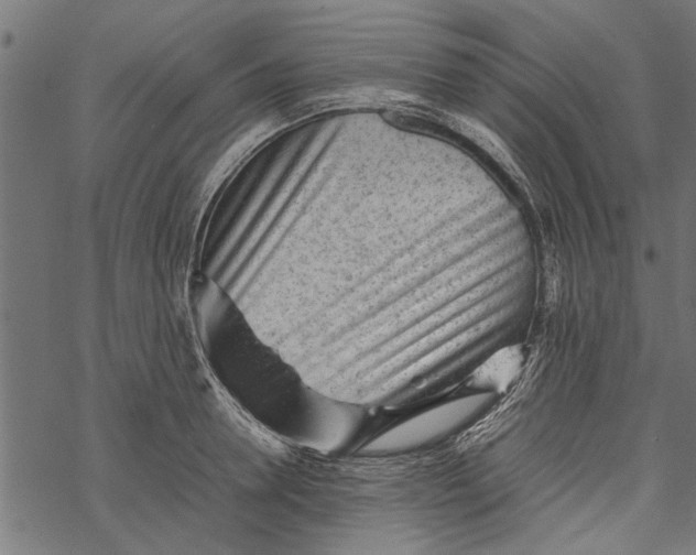 X0000067910946200605041640