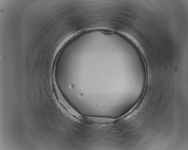 X0000067910949200605041640