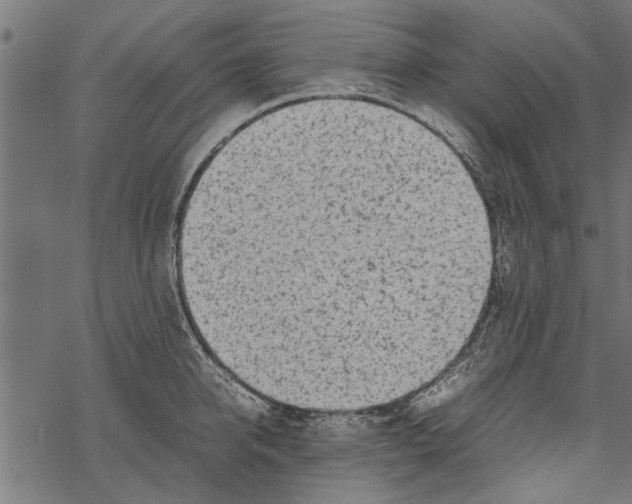 X0000067910950200605041640