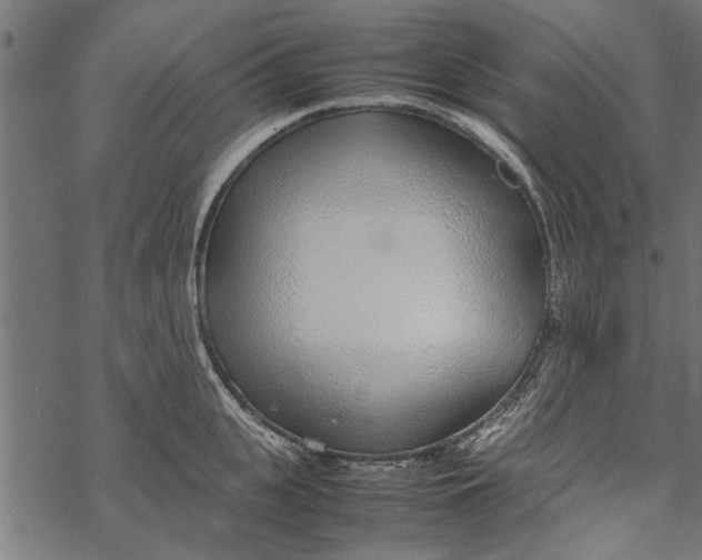 X0000067910951200605041640