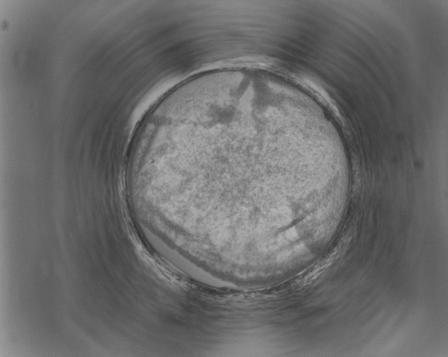 X0000067910952200605041640