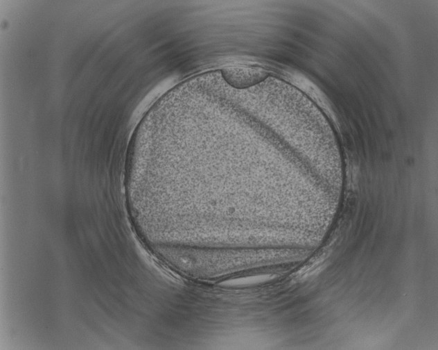 X0000067910954200605041640