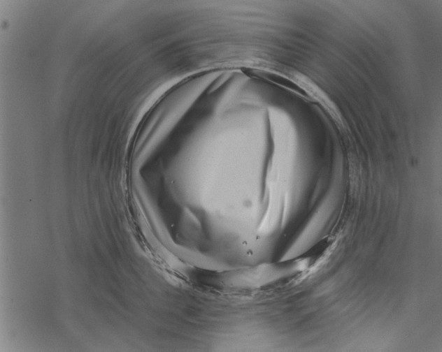 X0000067910956200605041640