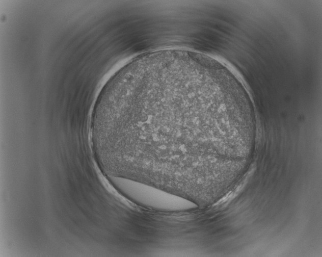 X0000067910957200605041640