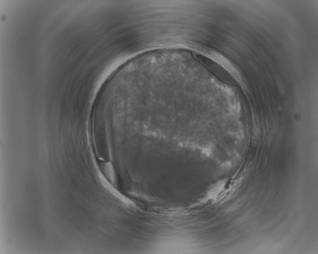 X0000067910958200605041640